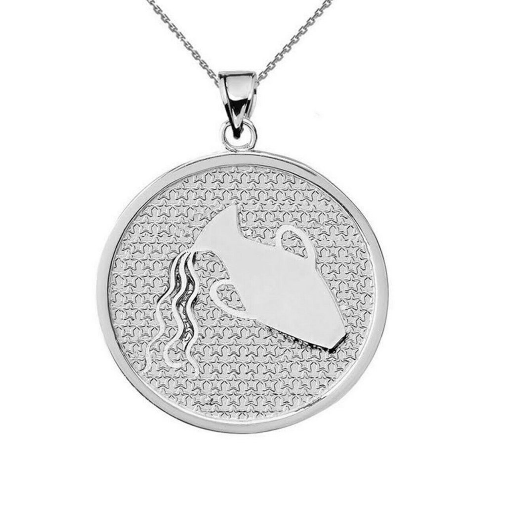 Sterling Silver Pisces Zodiac Sign Disc Necklace 79$
